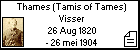 Thames (Tamis of Tames) Visser